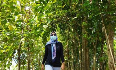 Rumah nyaman murah hanya 240jt