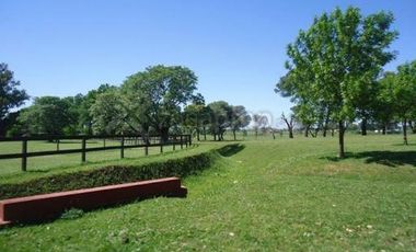 Excelente Lote en Barrio Haras El Malacate, Exaltación de la Cruz.