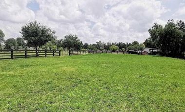 VENTA DE RANCHOS - DOLORES HIDALGO - GUANAJUATO