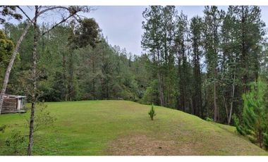 Venta de Lote En Unidad Cerrada Juanito Laguna El Retiro