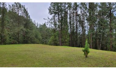 Venta de Lote En Unidad Cerrada Juanito Laguna El Retiro