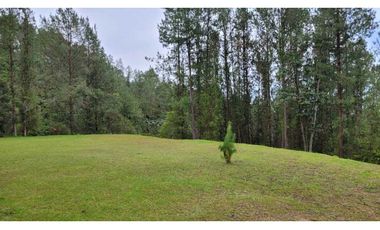 Venta de Lote En Unidad Cerrada Juanito Laguna El Retiro