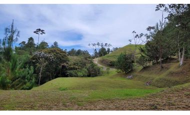 Venta de Lote En Unidad Cerrada Juanito Laguna El Retiro