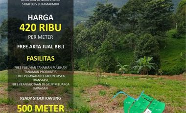 Tanah Kebun Produktif MURAH di Bogor bisa untuk Villa