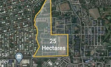 Lot Property for Sale in Don Chino Roces, Makati City