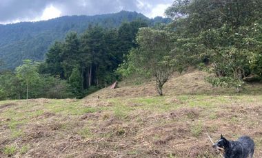 Venta de lote en La Estrella