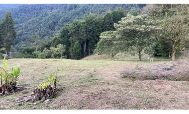 Venta de lote en La Estrella