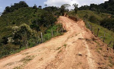 Venta finca San Roque Antioquia