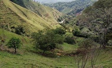 Venta finca San Roque Antioquia
