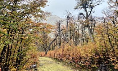Sitios en venta en Coihaique