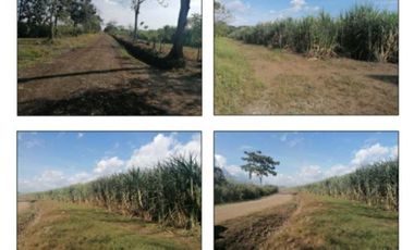 VENDO TERRENO DE 7.4 HA EN ALANJE