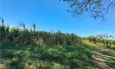 VENDO TERRENO DE 7.4 HA EN ALANJE