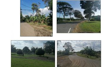 VENDO TERRENO DE 7.4 HA EN ALANJE