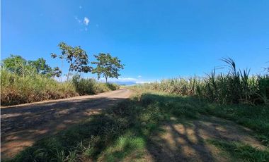 VENDO TERRENO DE 7.4 HA EN ALANJE