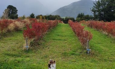 Casa con hermosa vista y acceso al Lago Ranco
