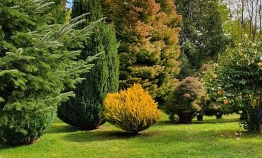 Casa con hermosa vista y acceso al Lago Ranco