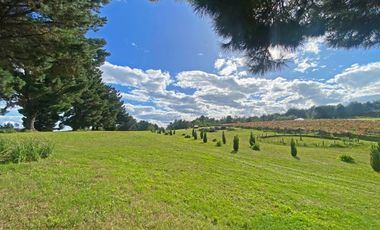Casa con hermosa vista y acceso al Lago Ranco