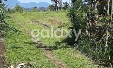 TANAH BANJAR PAUSAN PAYANGAN GIANYAR, BALI
