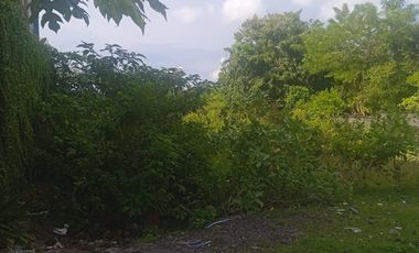 Residential Land For Sale - Kampial, Dharmawangsa Nusa Dua