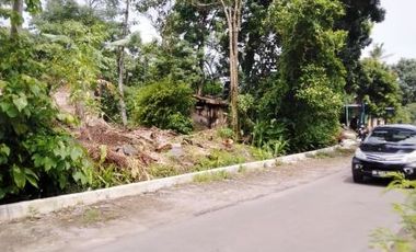 Dapatkan Tanah Lokasi Strategis Pinggir Jalan Aspal di Manisrenggo