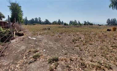 Parcela en Venta en Terreno Agrícola - 30.000 mts2