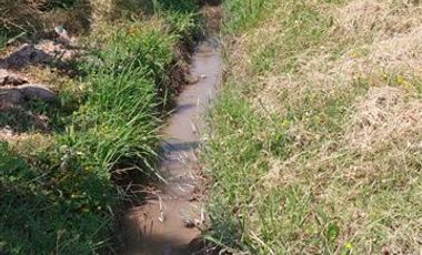Parcela en Venta en Terreno Agrícola - 30.000 mts2