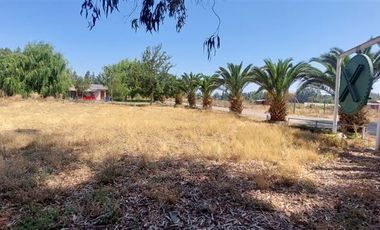 Parcela en Venta en Terreno Agrícola - 30.000 mts2