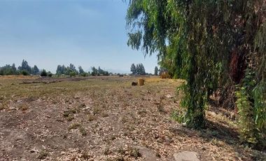 Parcela en Venta en Terreno Agrícola - 30.000 mts2