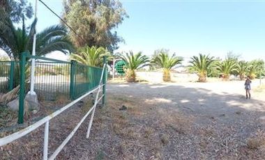 Parcela en Venta en Terreno Agrícola - 30.000 mts2