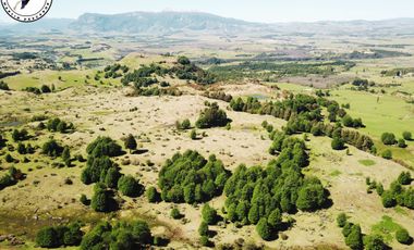 Se Vende Campo en 6 Lagunas