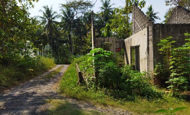 Rumah Bagus Sekali Panjatan Kulonprogo