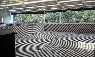 SE RENTA CASA EN Calle Kepler 5, Anzures, Ciudad de México, CDMX, México