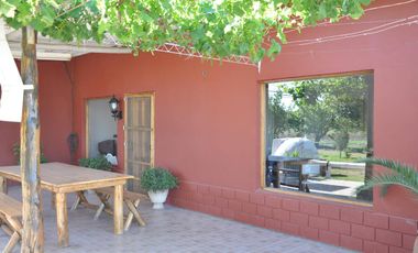 Finca 30 ha - General Alvear- Mendoza