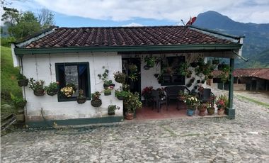 Finca en Venta Amaga
