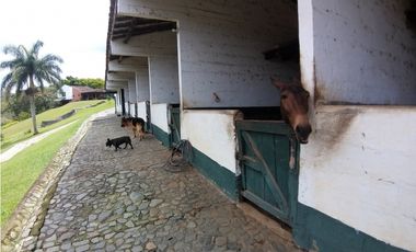 Finca en Venta Amaga