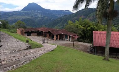 Finca en Venta Amaga