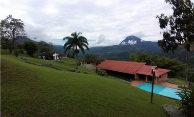 Finca en Venta Amaga