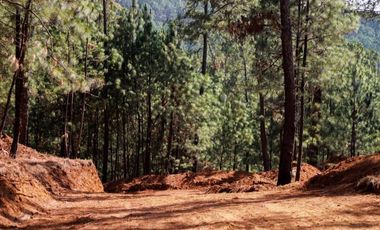 VENTA DE LOTES EN RESIDENCIAL LOS ALISOS MAZAMITLA JAL.