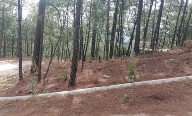 VENTA DE LOTES EN RESIDENCIAL LOS ALISOS MAZAMITLA JAL.
