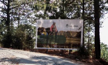 VENTA DE LOTES EN RESIDENCIAL LOS ALISOS MAZAMITLA JAL.