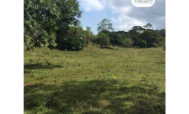 SE VENDE FINCA EN SAN ANTONIO DE TULU - COCLE NORTE