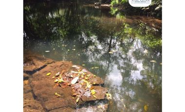 SE VENDE FINCA EN SAN ANTONIO DE TULU - COCLE NORTE