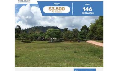 SE VENDE FINCA EN SAN ANTONIO DE TULU - COCLE NORTE