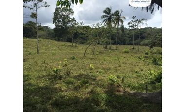 SE VENDE FINCA EN SAN ANTONIO DE TULU - COCLE NORTE