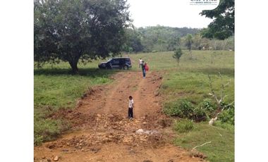 SE VENDE FINCA EN SAN ANTONIO DE TULU - COCLE NORTE