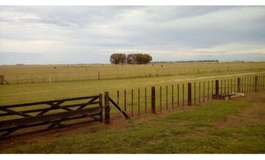 VENDO 224 HECTAREAS UNICAS DE CAMPO EN SAN CAYETANO