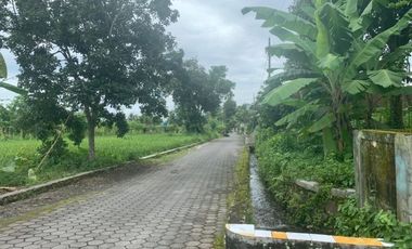 WOW! RUMAH PREMIUM DI JALAN MAGELANG, ADA KOLAM PRIBADI