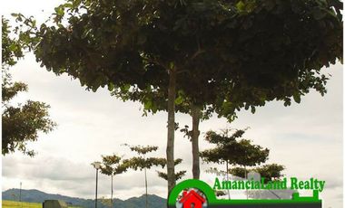 Spacious Townhouse House and Lot for Sale 4-Bedroom in Talamban Cebu City