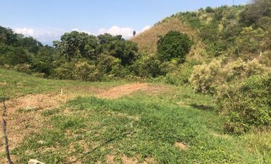 LOTE EN VENTA CERRITOS PEREIRA