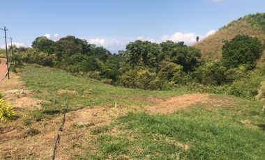 LOTE EN VENTA CERRITOS PEREIRA